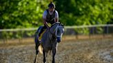 Seize the Grey wins 149th Preakness, ends Mystik Dan’s Triple Crown bid