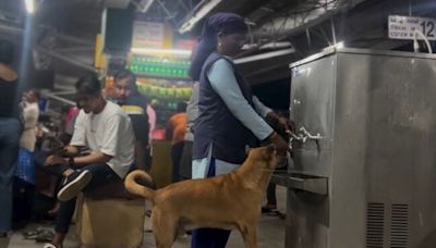 Viral video: Women helps thirsty dog drink water at Thrissur railway station