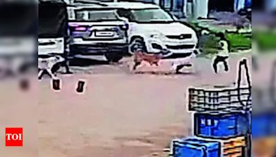 Father saves boy from stray dog attack | Hyderabad News - Times of India