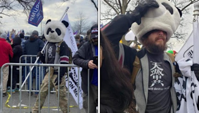 Florida man who wore panda gear during Capitol breach convicted, DOJ reports