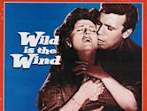 Wild Is the Wind (1957 film)