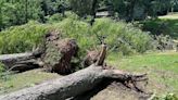 Lakefront business crippled by Memorial Day weekend storms