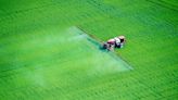 'Silent Spring' 60 years on: 4 essential reads on pesticides and the environment