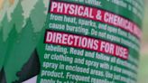 Consumer Reports' best insect repellents include options with or without DEET