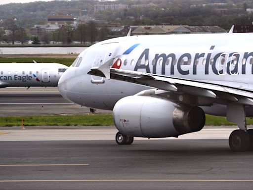 American Airlines flight diverted after hitting bird