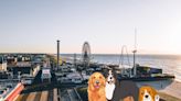 Dog Royalty Days Is Returning To Seaside Heights, NJ And Your Dog Will Love It!