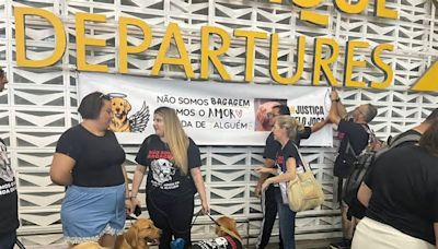 Cão Joca: Donos de pets e ONGs fazem ato nos aeroportos de Guarulhos e Congonhas por justiça pela morte do golden retriever