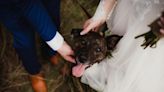 Virginia Couple Reschedules Wedding To Adopt Puppy