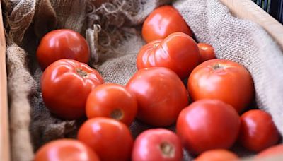 Por qué volvió a subir el precio del tomate y de ciertas hortalizas | Economía