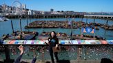 An anchovy feast draws a crush of sea lions to one of San Francisco’s piers, the most in 15 years