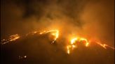 Why did the Maui fire spread so fast? Drought, nonnative species and climate change among possible reasons