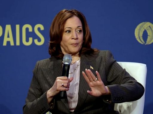 Kamala Harris tears into pro-Palestine protestors for burning US flag to condemn Netanyahu's visit: ‘It should never…’