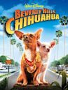 Le Chihuahua de Beverly Hills