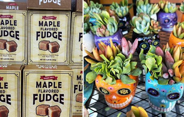 Trader Joe’s fall products are here