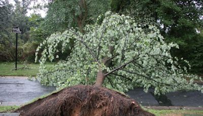 Federal aid available for some Pennsylvanians impacted by Tropical Storm Debby; Here’s who qualifies