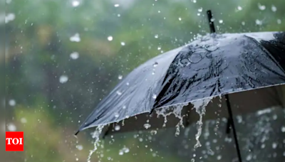 Kerala to receive heavy rains; IMD issues red alert in some districts for May 19, 20 | Thiruvananthapuram News - Times of India