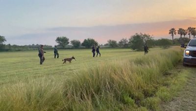 Drones y perros para capturar a los inmigrantes que tratan de cruzar la frontera del Río Bravo hacia Estados Unidos