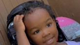 Missing two-year-old vanished after mother was stabbed by ex-partner at Michigan home