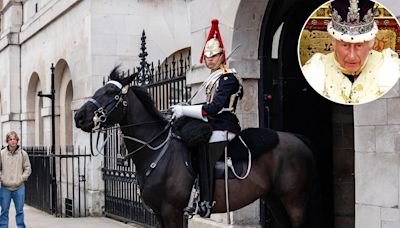 King Charles III’s Guard Horse Bites Tourist Posing for Photo at Household Cavalry Museum in London