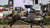 Preakness Stakes 2024 Results: Seize The Grey Wins Wire-To-Wire, Mystik Dan Places, Catching Freedom Shows