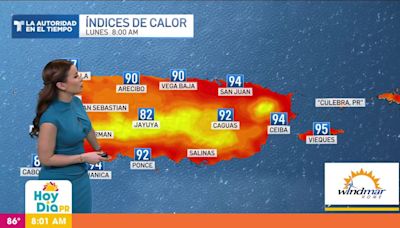 ¡Manténgase hidratado! Se espera un lunes brumoso y caluroso