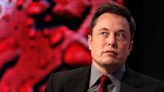 Elon Musk blasted short-sellers as bloodsuckers. Bill Gates, 'Big Short' star Michael Burry, and other top investors have bet against Tesla.