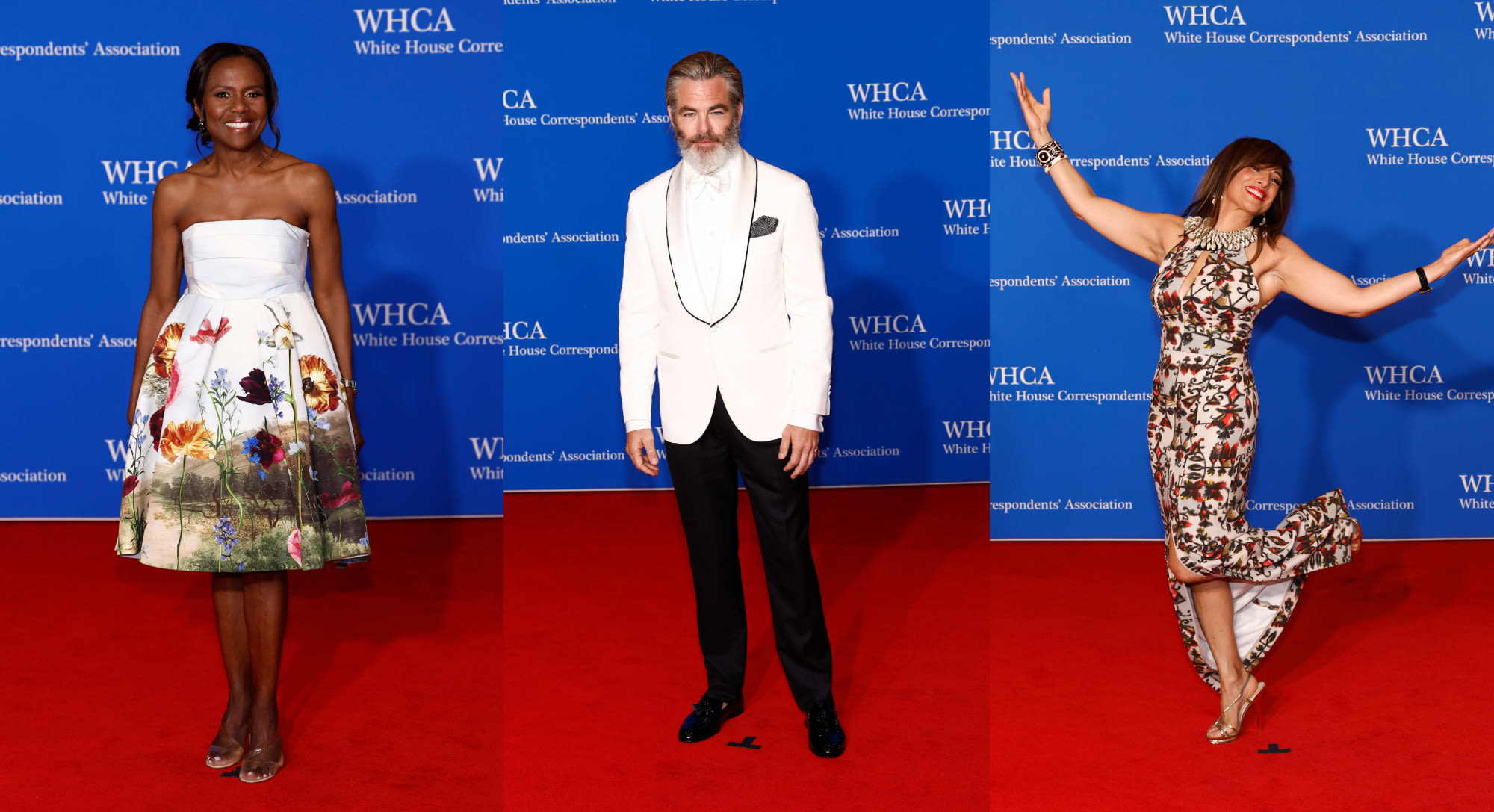 White House Correspondents' Dinner 2024 Red Carpet: Shoes Style