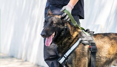 LA City Council rejects donation of police dogs