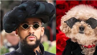 Perritos sacaron sus mejores outfits para la Pet Gala, la Met Gala canina