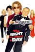 The Night We Called It a Day (film)