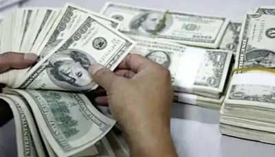Indias Forex Reserves Rise By $816 Million To Scale 653.7 Billion Mark