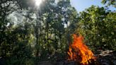 No one sure why US Forest Service has to remind people not to camp in active burn zone