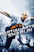 Martial Arts of Shaolin