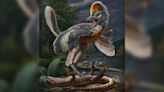 Bird-like dinosaur with surprising features discovered in China