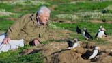 Prime Video Acquires BBC’s David Attenborough Docuseries ‘Wild Isles’ for Earth Day