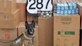 Texas K-9 sniffs out $1.7M worth of marijuana, mushroom-laced candy bars