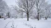 Poetry from Daily Life: Ted Kooser digs into that feeling of a 'First Snow'