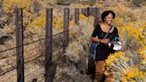 She quit her desk job to chase her passion: finding California native bees