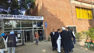Punjab and Haryana High Court clears air on detention purpose; says intent is to sever live link between detainees, associates