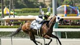 Santa Anita ahead of horse racing safety curve in advance of national regulations