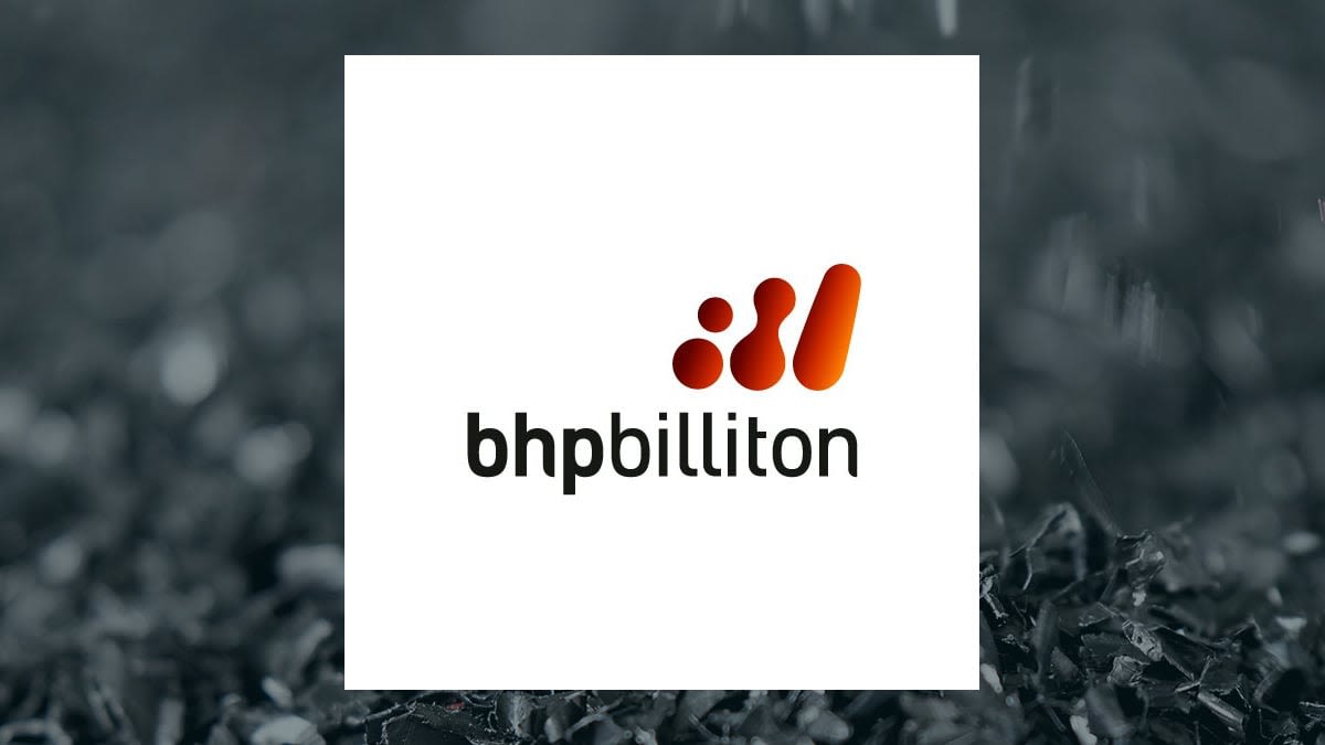 Avantax Advisory Services Inc. Raises Position in BHP Group Limited (NYSE:BHP)