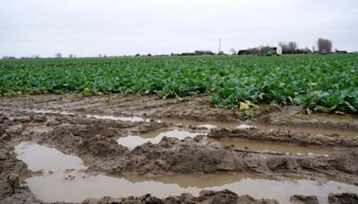 Farmer confidence at all-time low as 82% hit by wet weather, unions warn