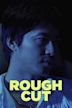 Rough Cut (2008 film)