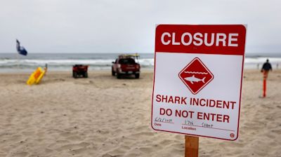 California shark attack rescuers earn medal for heroism