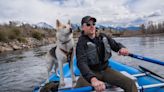 Why Your Dog Needs a Life Jacket