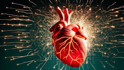 Atlas en 3D: impresionantes imágenes de un corazón humano sano y enfermo