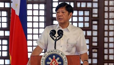 Davao del Norte gov’s suspension followed due process – Marcos