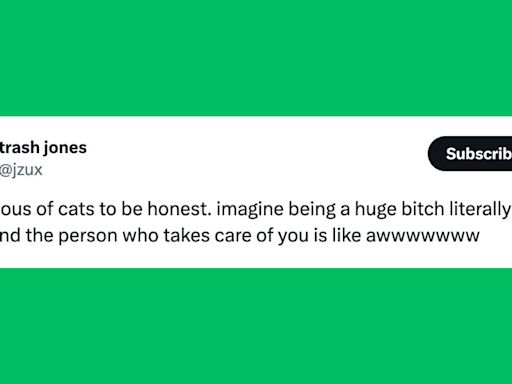 23 Of The Funniest Tweets About Cats And Dogs This Week (May 4-10)
