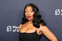 Megan Thee Stallion Accused of Harassment