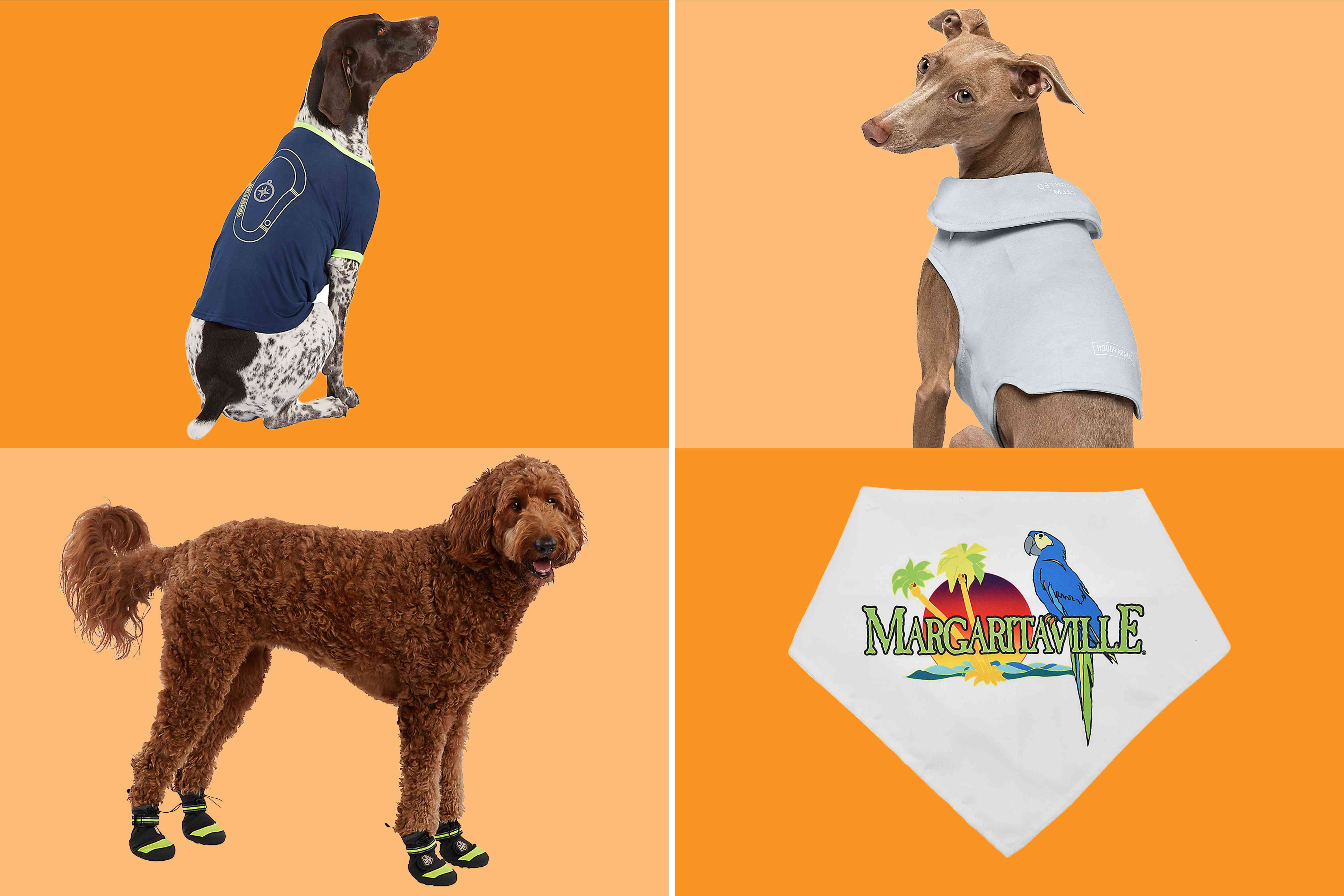 We Found Tons of Dog Accessories Quietly Discounted at PetSmart from $6 — Bandanas, Life Jackets, and More